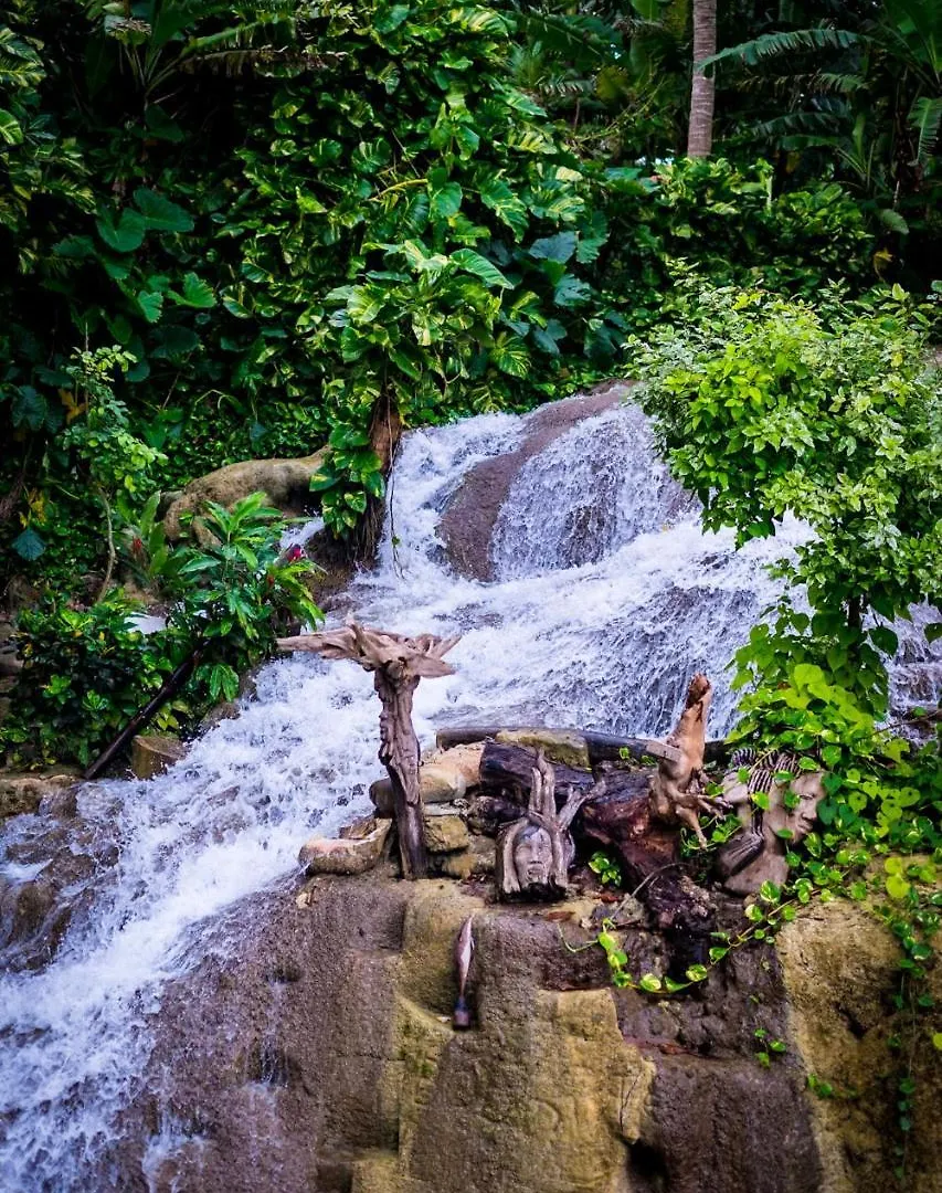 Villa The Lion House Jamaica Clifton Falls