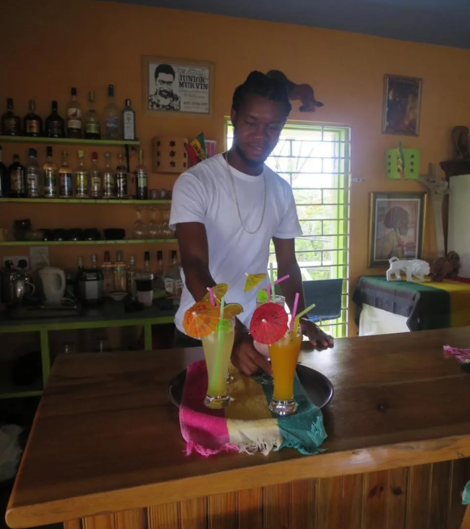 Lodge Villa The Lion House Jamaica Clifton Falls Jamaica