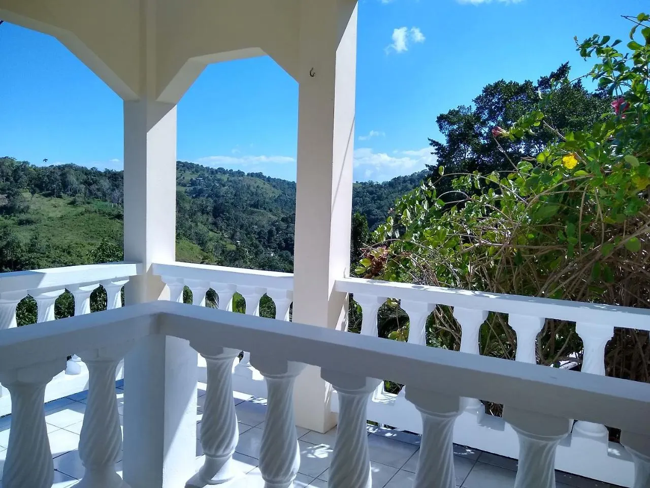 The Lion House Jamaica Villa Clifton Falls Jamaica