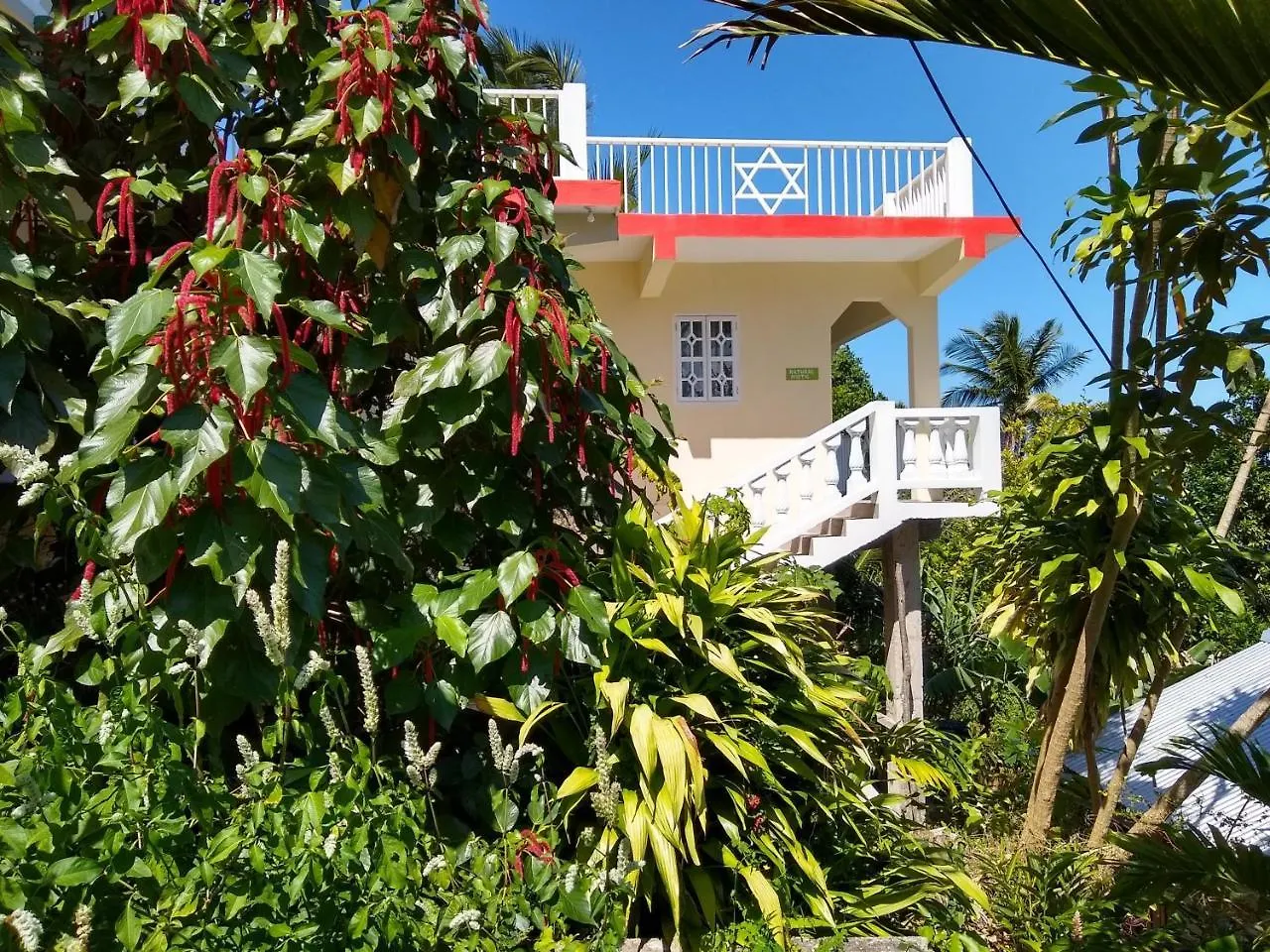 Lodge The Lion House Jamaica Villa Clifton Falls Jamaica